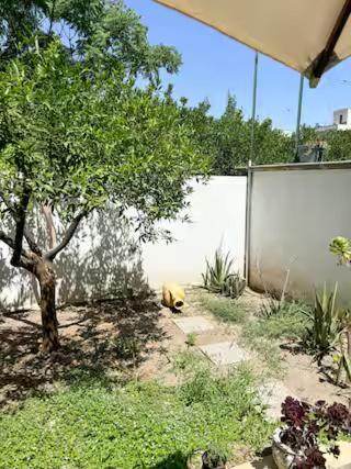 Origini - Apartment With Private Garden เลชเช ภายนอก รูปภาพ